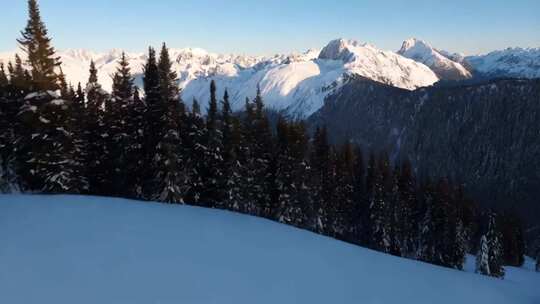 雪山森林雪景全景