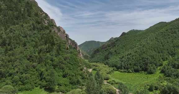 森林 青山绿水 天然氧吧