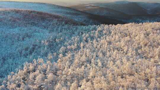 高山雾凇