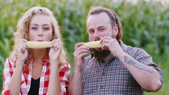 一对夫妇在玉米地里吃玉米