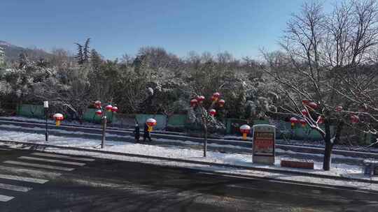 泰山红门路，再现“雪打灯”的美景