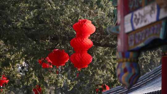 北京地坛春节文化庙会悬挂节日红灯笼视频素材模板下载