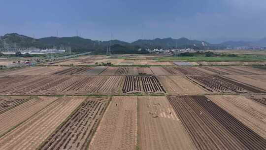 惠州万亩现代化实验农田航拍