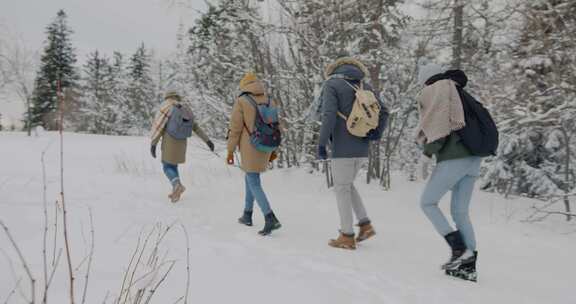 雪，朋友，徒步旅行，森林