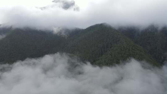 4k超清川西高原航拍湖泊牧场山谷牛群马匹