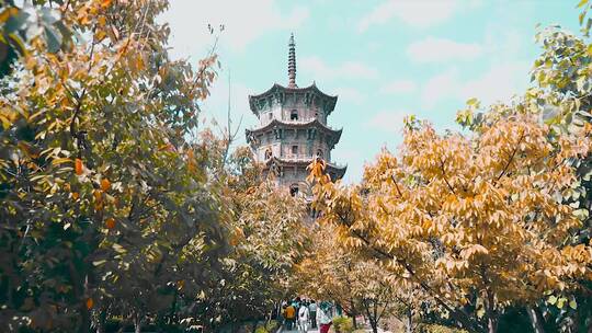 泉州 城市西街开元寺 烟火气息塔庙