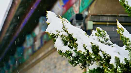 冬天下雪雪花飘落中式建筑