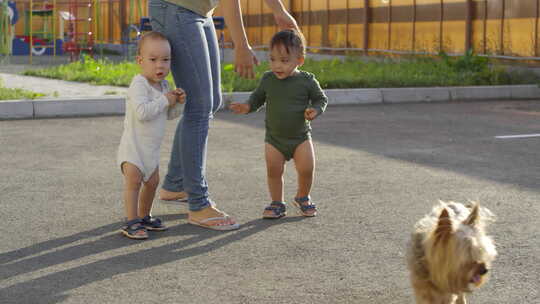 双胞胎幼儿与妈妈和狗一起享受户外散步