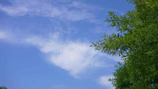 夏天  二十四节气 立夏