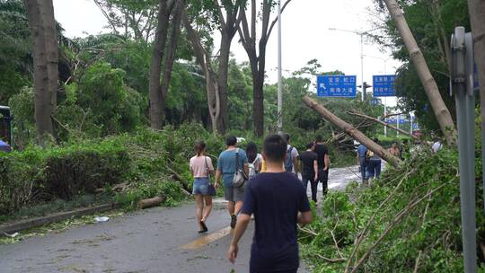 山竹 台风 台风山竹 中国沿海 沿海城市