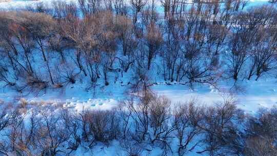 冰雪覆盖的森林湿地景观