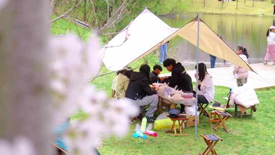 郊游 户外露营 野餐 家庭休闲娱乐