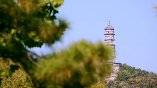 4K升格实拍北京秋天晴朗午后玉泉山的塔