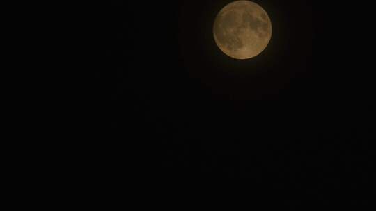 实拍满月月亮升起超高清4K延时视频月球