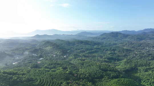 航拍山林与远处山脉全景