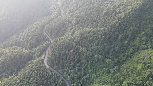 航拍山川森林蜿蜒盘山公路