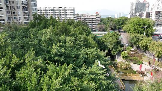 航拍福州城市内河河流 福州白马河