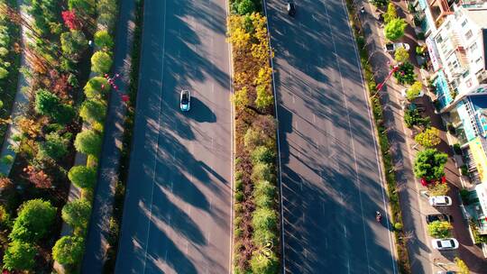 航拍城市道路车流 绿化景观