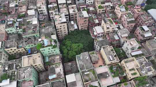 中国广东省广州市白云区潭村