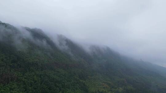 重庆北碚缙云山迎来降雨，云雾缭绕（延时）