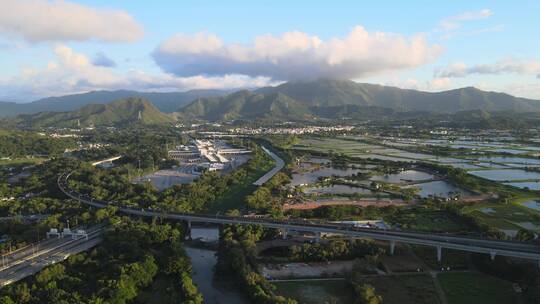 福田口岸视频素材模板下载