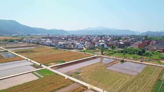 杭州富阳富春江江畔乡村田园风景航拍