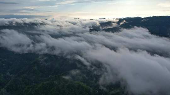 大雾清晨云雾大山云海森林自然云山脉山区