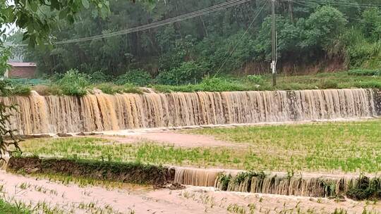 洪水水灾稻田瀑布