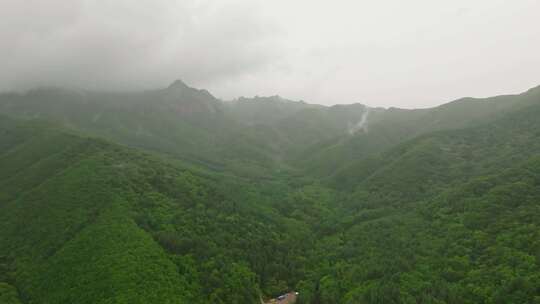 山间云雾 人间仙境 天然氧吧森林 天罡山