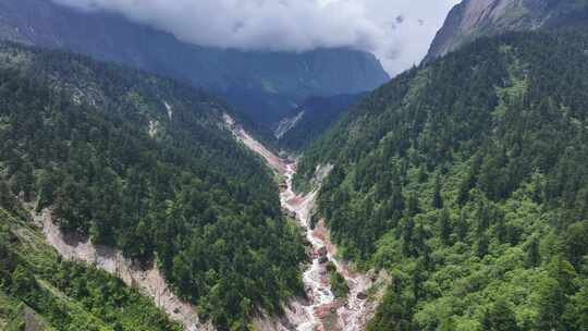 航拍四川甘孜贡嘎山区南门关沟森林河谷风光