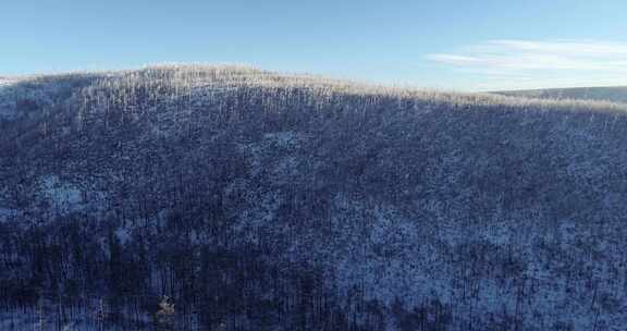 大兴安岭冬季林海风景