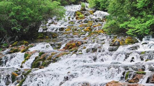 四川阿坝州茂县松坪沟