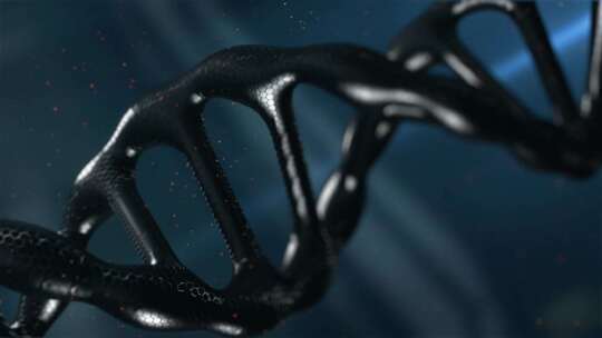 DNA 螺旋 染色体 基因 生物学视频素材模板下载