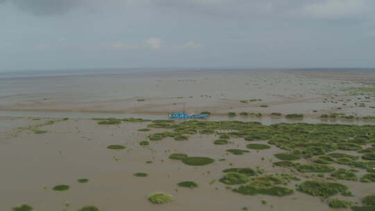 上海崇明岛航拍草地平原地平线湖水滩涂船只