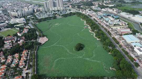 广东东莞：莲湖风景区