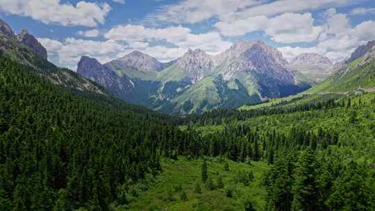 甘肃省甘南州洛克之路高山高原峡谷森林美景