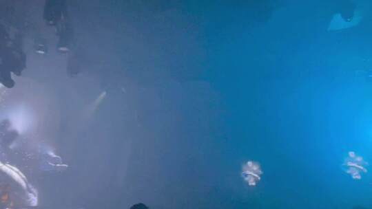 夜店现场灯光LED屏动画演绎现场舞动观众