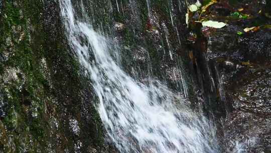 夏天森林里岩石小溪溪流瀑布流水