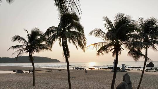 日出时分海边椰子树和沙滩
