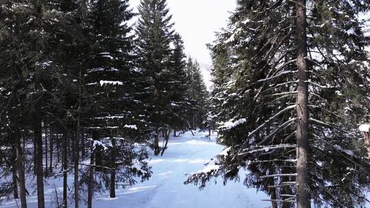 航拍新疆冬季喀纳斯神仙湾晨雾雪山森林雪景