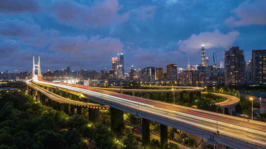 南浦大桥 上海交通 繁忙 高架 道路 夜景