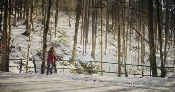 女人，雪，徒步旅行，格子衬衫