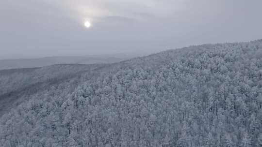 冬季雪山雾凇雪松树挂景观