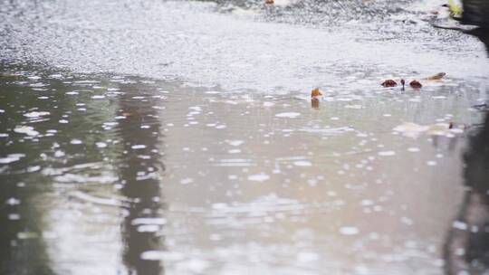 雨天驶过的车辆视频素材模板下载