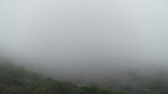 下雨天山上的雾气延时视频