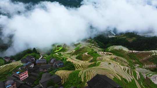 航拍广西桂林龙脊梯田高山云海壮丽风景