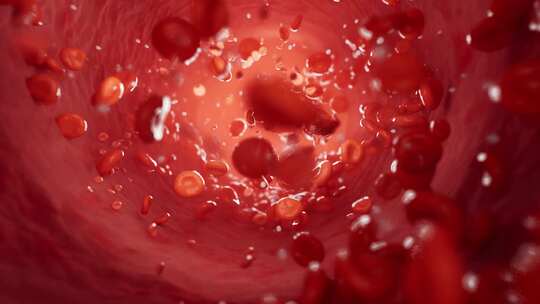 红细胞在血管中流动视频素材模板下载