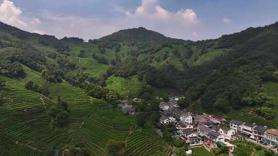 航拍杭州龙井村 西湖龙井茶园