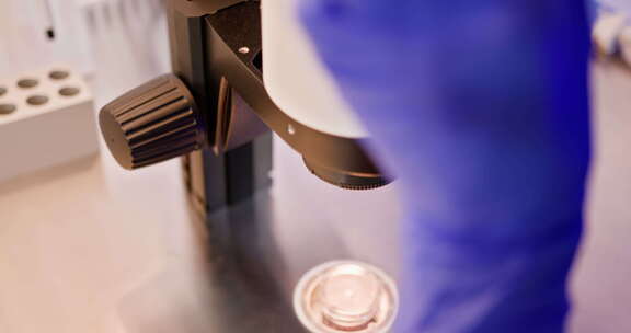 胚胎学家在实验室环境中进行人工受精