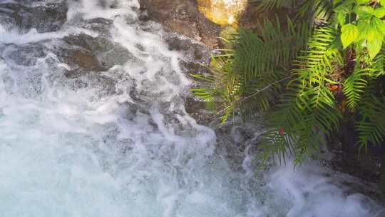 湍急的水流